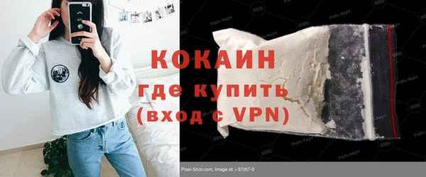 шишки Абаза