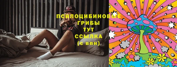 шишки Абаза