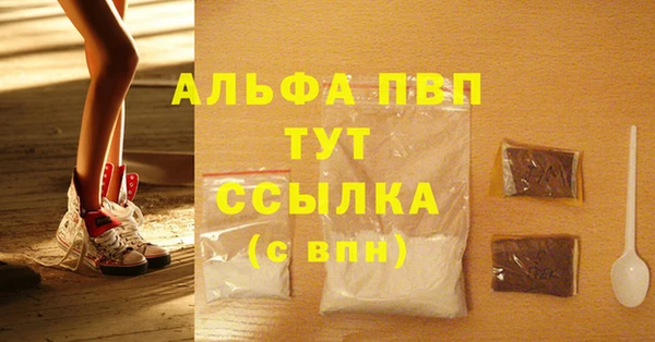 шишки Абаза