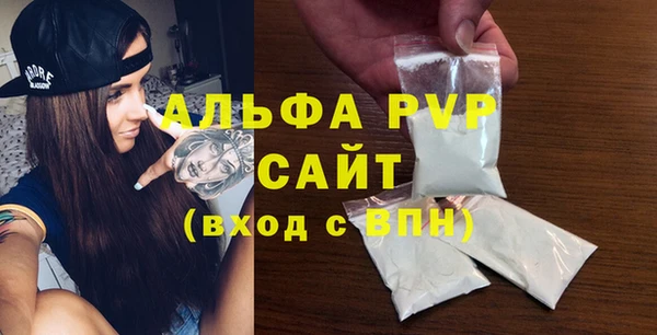 шишки Абаза