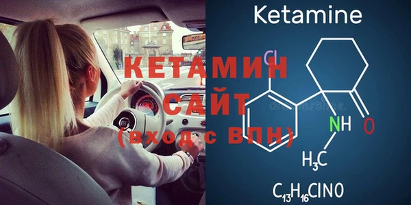 шишки Абаза