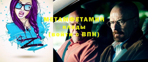 шишки Абаза