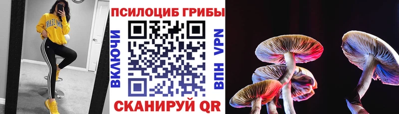 Галлюциногенные грибы мицелий  ссылка на мегу ТОР  Шлиссельбург 